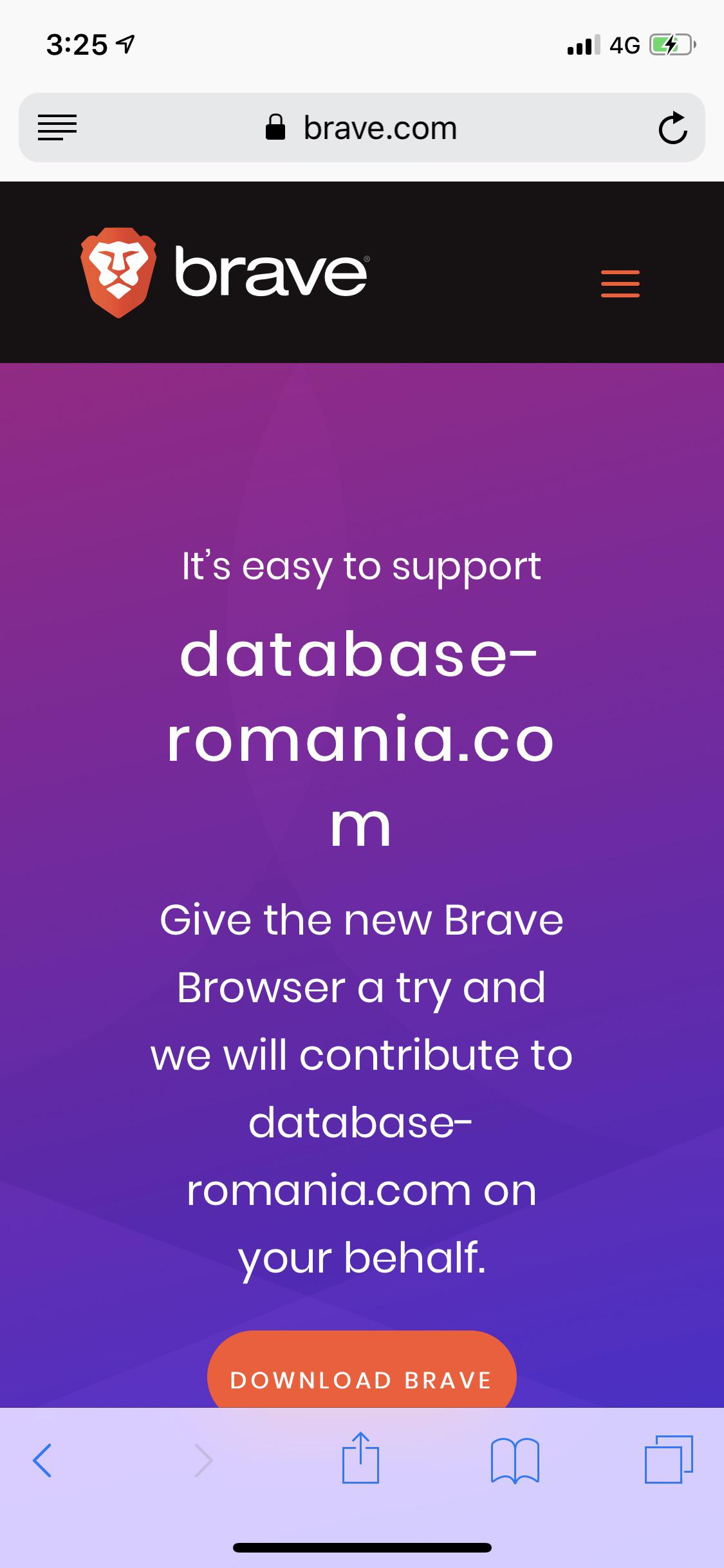 brave web browser problems review